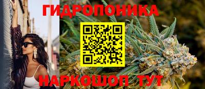 кокс Будённовск