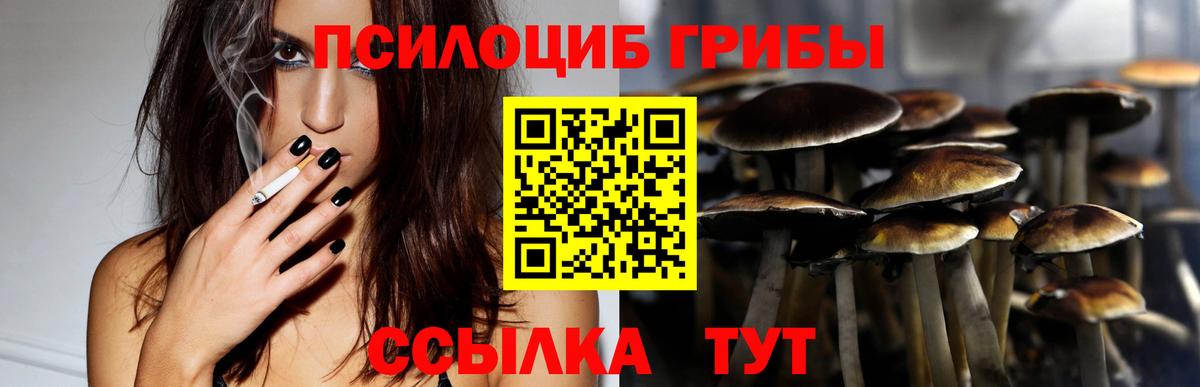 Галлюциногенные грибы мухоморы  Вход с VPN  Дубна 
